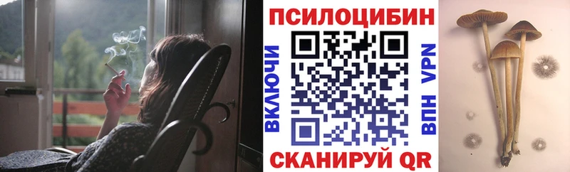 где найти Коряжма Псилоцибиновые грибы Magic Shrooms